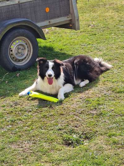 Zeigt mal eure besten Freunde-Beitrag-Bild