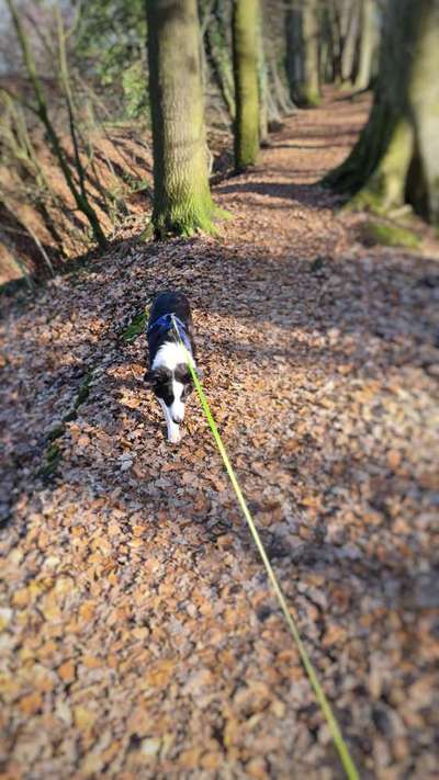 Foto Challenge Nr. 79-Beitrag-Bild