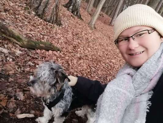 Zeigt her eure Junghunde :)-Beitrag-Bild