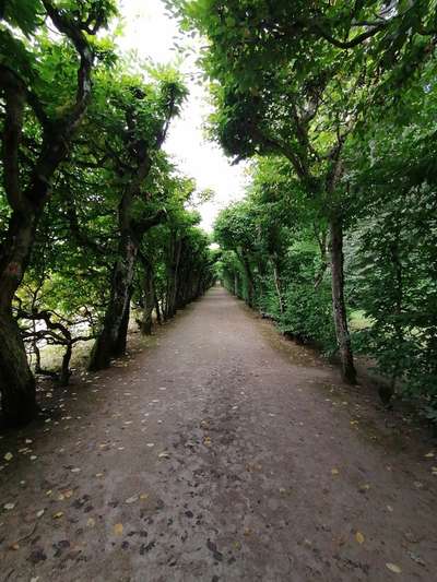 Hundeauslaufgebiet-Schloß Fantasie-Bild