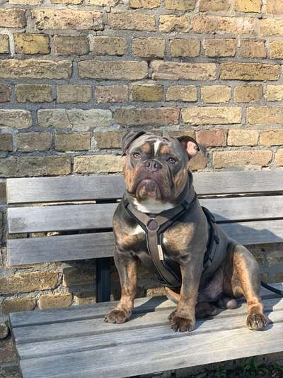 Neurologe im Rhein-Main Gebiet-Beitrag-Bild