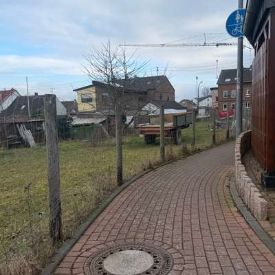 Giftköder-Giftköder-Bild