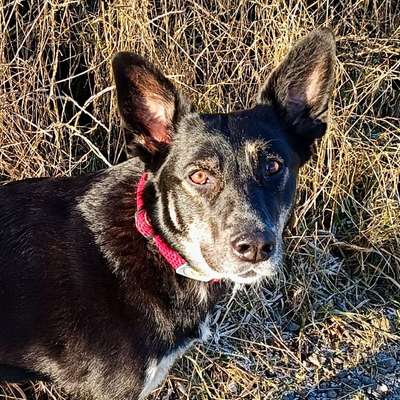 aktuelles Foto Gruppe Körpersprache lesen & verstehen