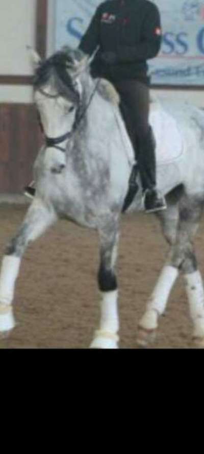 Unsere Sternchen ******-Beitrag-Bild