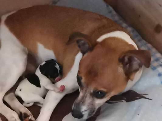 Unser Nachwuchs-Beitrag-Bild