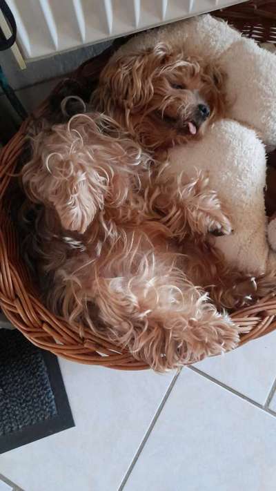 CHALLENGE NR. 34 - Liege-/Schlafpositionen-Beitrag-Bild