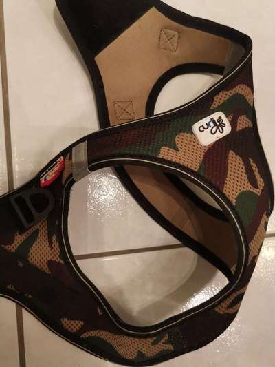 Geschirr für französische Bulldogge-Beitrag-Bild