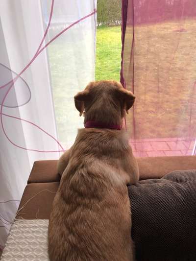 10. Farben Foto-Challenge ---- Blau-Beitrag-Bild