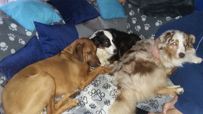 Habt ihr eine schöne Abendroutine?-Beitrag-Bild