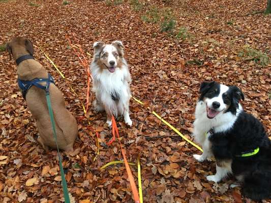 Herbst Bilder-Beitrag-Bild