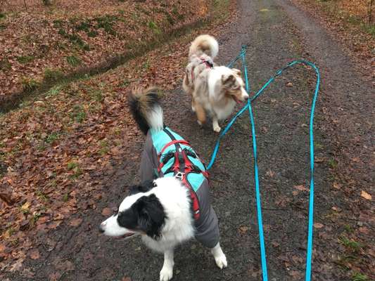 30. Collagen Challenge - Wege/Straßen-Beitrag-Bild