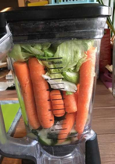 Barfen, wie macht ihr es?-Beitrag-Bild