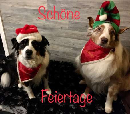 11. Farben Foto Challenge Rot-Beitrag-Bild