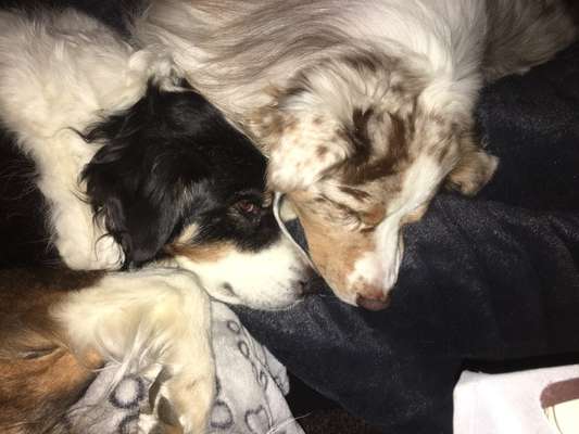 15. Handyfoto Challenge - Indoor Aktivitäten-Beitrag-Bild