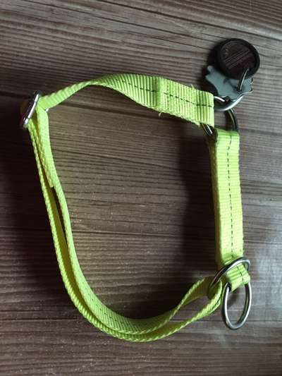 Antizug Halsband mit Zugstopp?-Beitrag-Bild