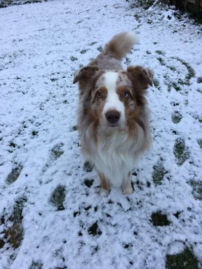 Der erste Schnee, zeigt uns eure tollen Schneemomente-Beitrag-Bild