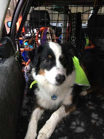 117. Fotochallenge-Beitrag-Bild