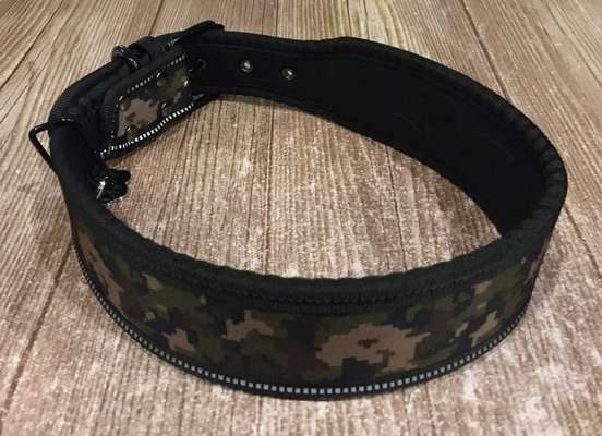 Hundesachen von Temu-Beitrag-Bild