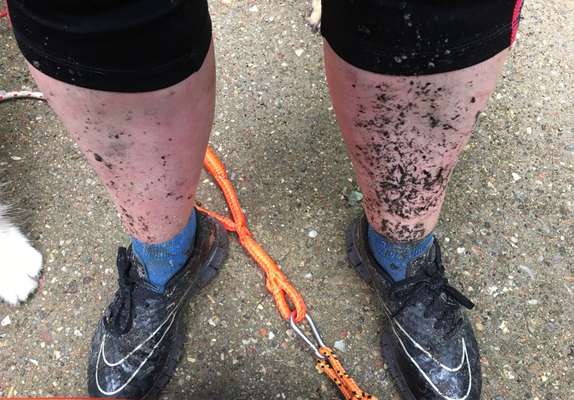 Meinung Schleppleine?-Beitrag-Bild