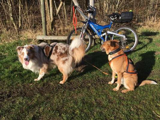 10. Farben Foto-Challenge ---- Blau-Beitrag-Bild