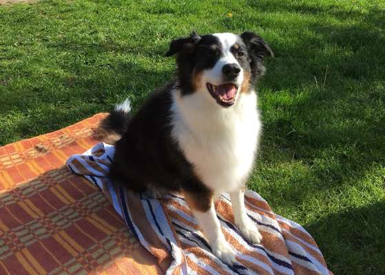 Lieblingsbild-Beitrag-Bild