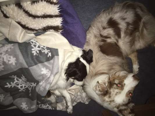 Verrückte Schlafpositionen-Beitrag-Bild