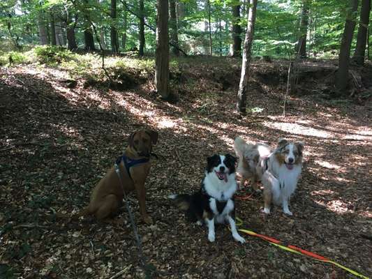 Herbst Bilder-Beitrag-Bild