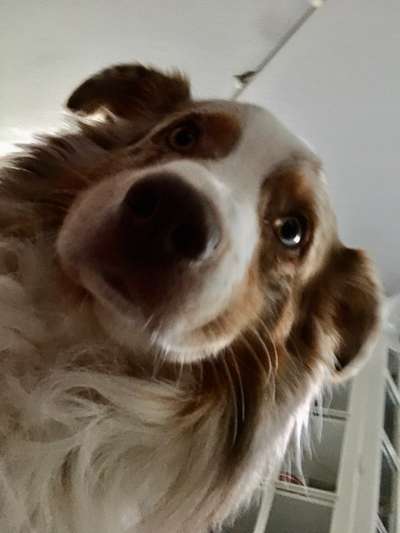 23. Handy Foto-Challenge-Beitrag-Bild