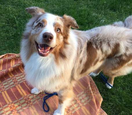 Lieblingsbild-Beitrag-Bild