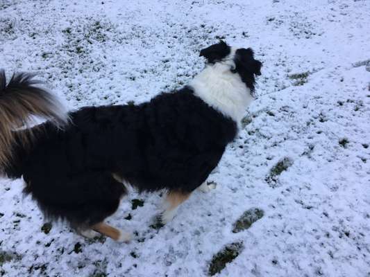 Der erste Schnee, zeigt uns eure tollen Schneemomente-Beitrag-Bild