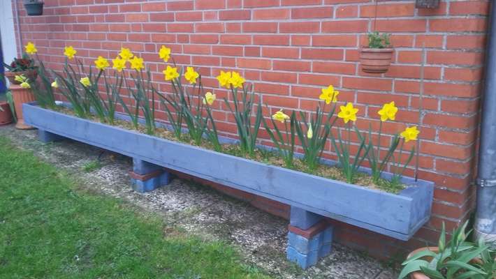 Upcycling - aus Alt mach Neu-Beitrag-Bild