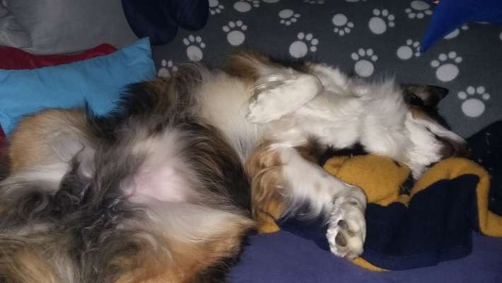 Verrückte Schlafpositionen-Beitrag-Bild