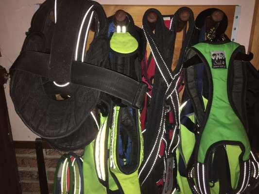 Upcycling - aus Alt mach Neu-Beitrag-Bild