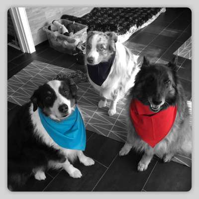 6. Farben Foto Challenge: "ColourKey Effekt"-Beitrag-Bild