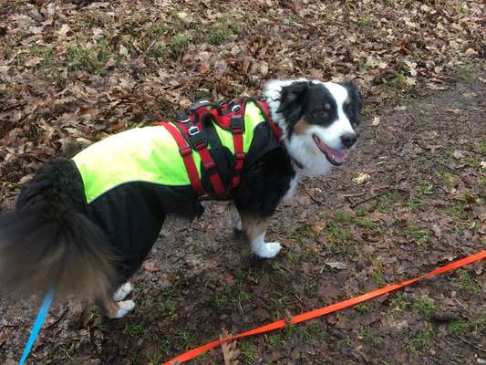 21. Farben / Foto Challenge - Neon / Leuchtfarben-Beitrag-Bild