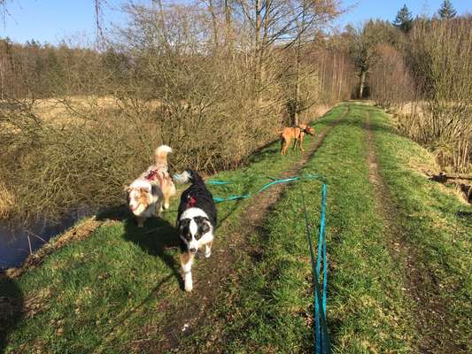 30. Collagen Challenge - Wege/Straßen-Beitrag-Bild