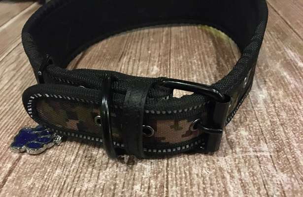 Hundesachen von Temu-Beitrag-Bild