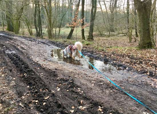 30. Collagen Challenge - Wege/Straßen-Beitrag-Bild