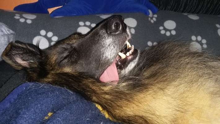 Handyfoto challenge Nr. 13: Waschlappen raus!-Beitrag-Bild