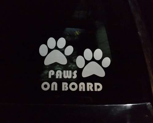 Hundesachen von Temu-Beitrag-Bild