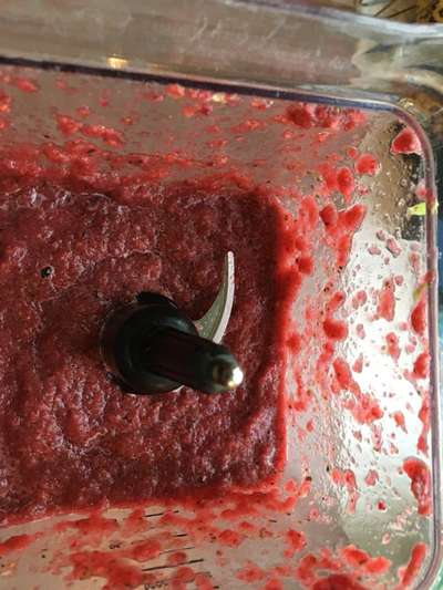 Barfen, wie macht ihr es?-Beitrag-Bild