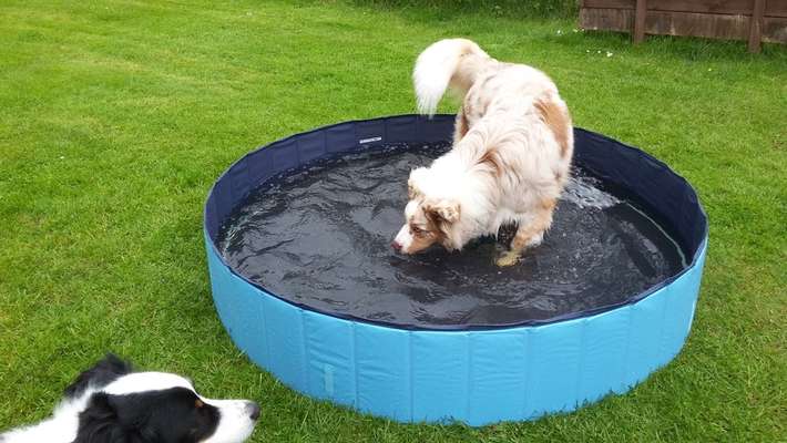 35. Handy Foto Challenge - Das nasse Element-Beitrag-Bild