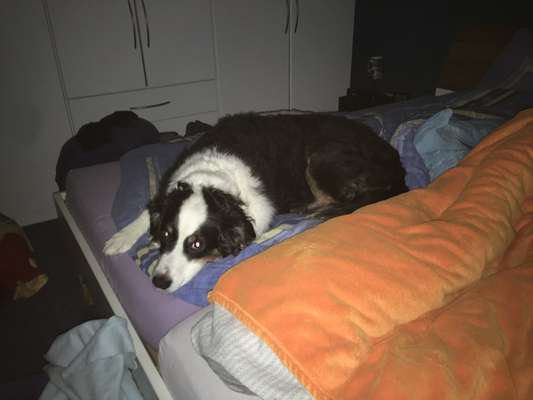 Gemeinsames Kuscheln im Bett!-Beitrag-Bild