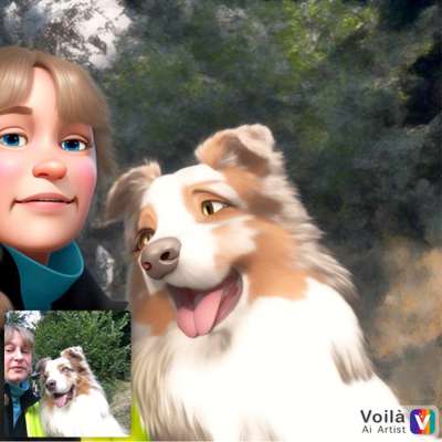 Voila app Bilder-Beitrag-Bild