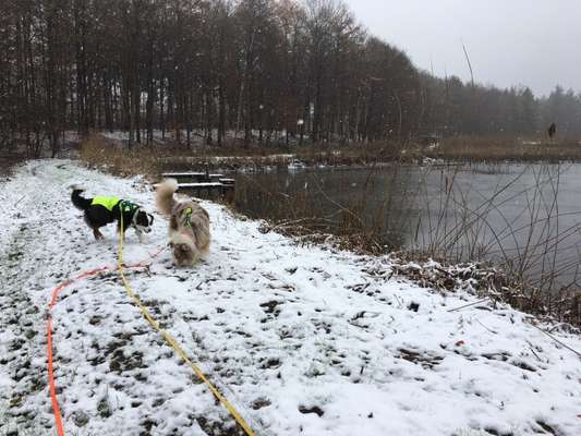 Der erste Schnee, zeigt uns eure tollen Schneemomente-Beitrag-Bild