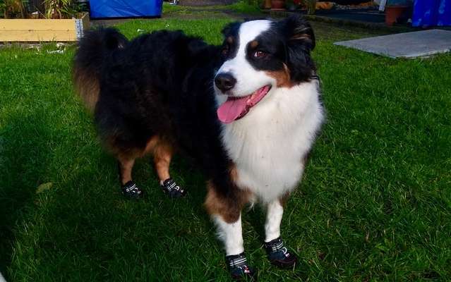 Lieblingsbild-Beitrag-Bild