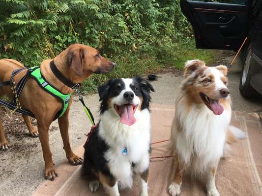 Handyfoto challenge Nr. 13: Waschlappen raus!-Beitrag-Bild