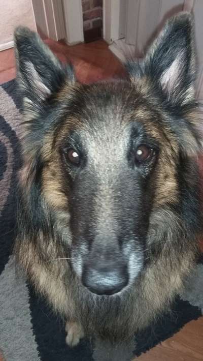 Nahaufnahme-Beitrag-Bild