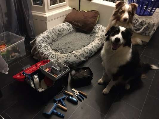 22. Handy Foto - Challenge-Beitrag-Bild