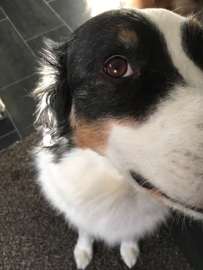 Nahaufnahme-Beitrag-Bild